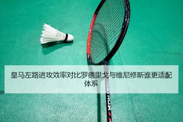皇马左路进攻效率对比罗德里戈与维尼修斯谁更适配体系